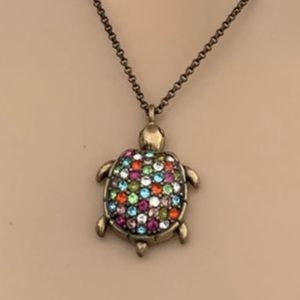 Authentic fossil Necklace Never used